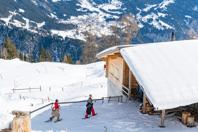 From Interlaken: Guided Snowshoe Tour around Isenfluh Interlaken: Guided Snowshoe Tour around Isenfluh