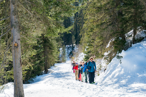 From Interlaken: Guided Snowshoe Tour around Isenfluh Interlaken: Guided Snowshoe Tour around Isenfluh