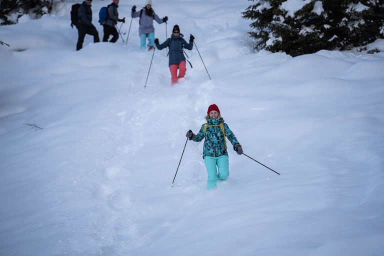 From Interlaken: Wetterhorn Trail Snowshoe Hiking Tour