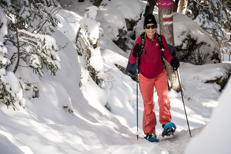 From Interlaken: Wetterhorn Trail Snowshoe Hiking Tour