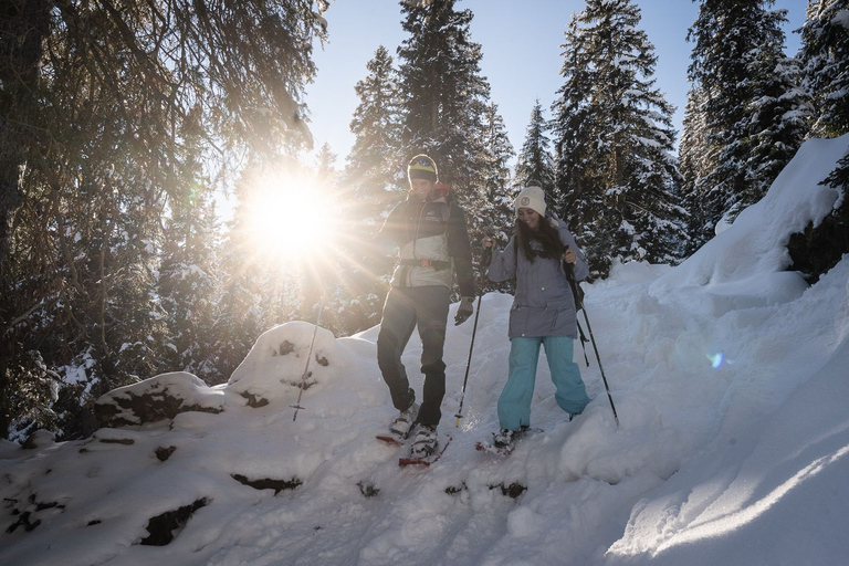 From Interlaken: Wetterhorn Trail Snowshoe Hiking Tour