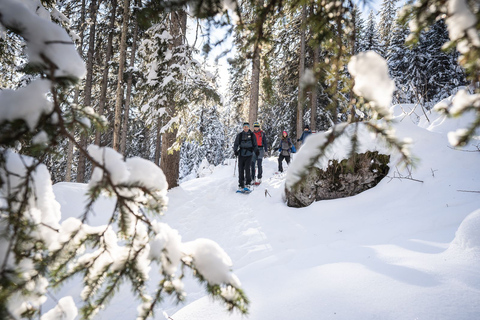 From Interlaken: Wetterhorn Trail Snowshoe Hiking Tour