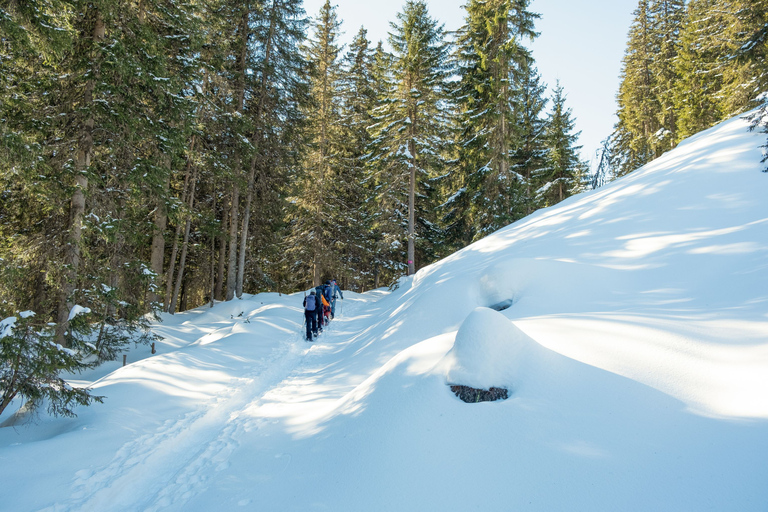 From Interlaken: Wetterhorn Trail Snowshoe Hiking Tour