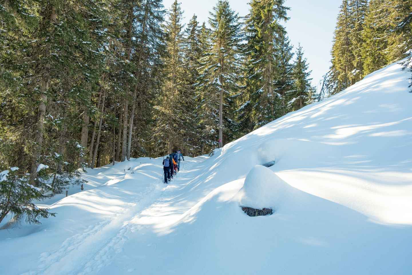 Desde Interlaken: Excursión de senderismo con raquetas de nieve por el sendero Wetterhorn