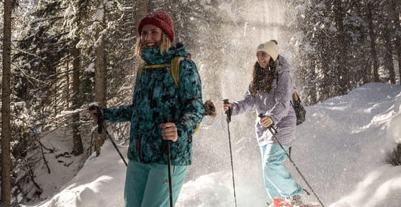 From Interlaken: Wetterhorn Trail Snowshoe Hiking Tour