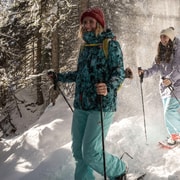From Interlaken: Wetterhorn Trail Snowshoe Hiking Tour