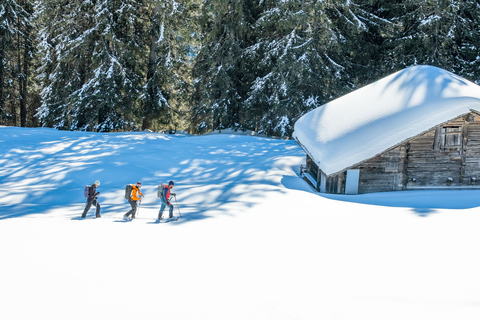 From Interlaken: Wetterhorn Trail Snowshoe Hiking Tour