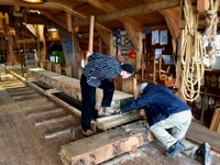 Dörfer & Windmühlen Zaanse Schans Small Group Tour - Hizvo