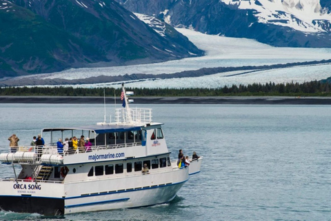 Seward: Spring Wildlife Guided Cruise