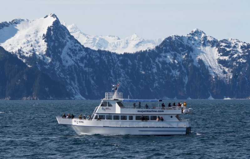 Seward: Spring Wildlife Guided Cruise with Coffee and Tea