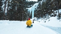 Interlaken, geführtes Sledging Adventure - Hizvo