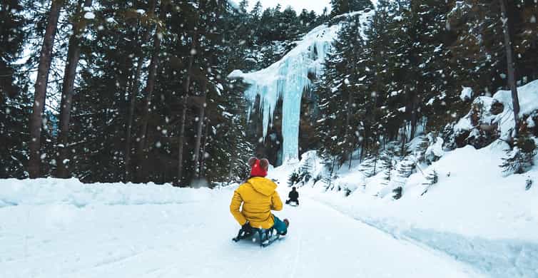 Interlaken: Guided Sledging Adventure | GetYourGuide