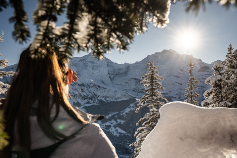 Interlaken: aventura guiada de trenó