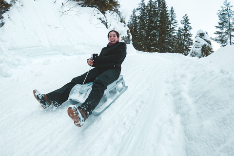 Interlaken: Aventura guiada en trineo