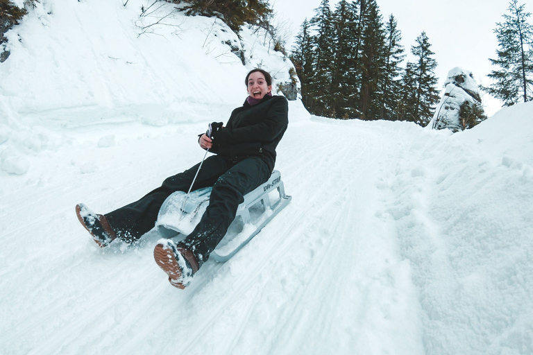 Interlaken: Guided Sledging Adventure