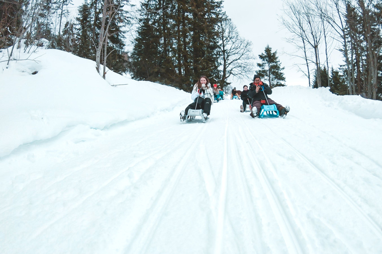 Interlaken: Guided Sledging Adventure