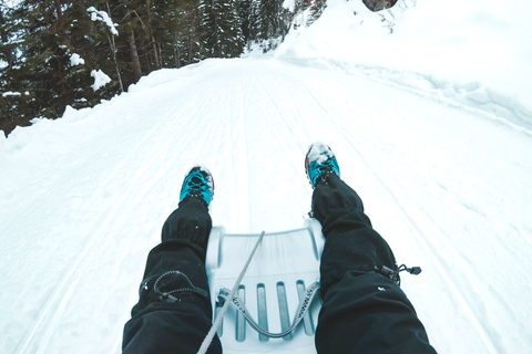 Interlaken: Guided Sledging Adventure