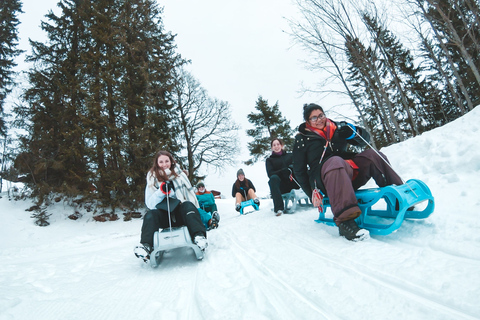 Interlaken: Guided Sledging Adventure