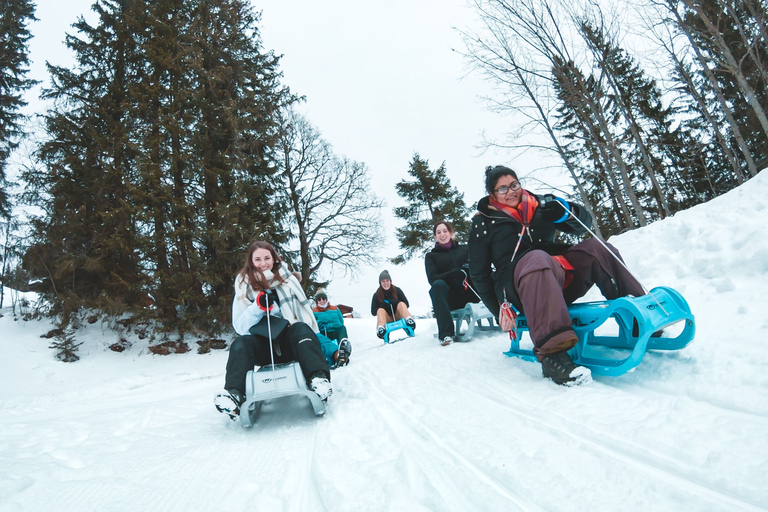 Interlaken : Aventure guidée en luge