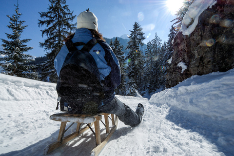 Interlaken: Aventura guiada en trineo