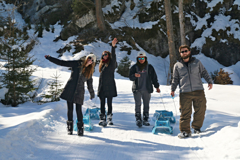 Interlaken : Aventure guidée en luge