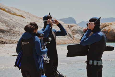 Kaapstad: begeleid snorkelen in het Great African Sea Forest