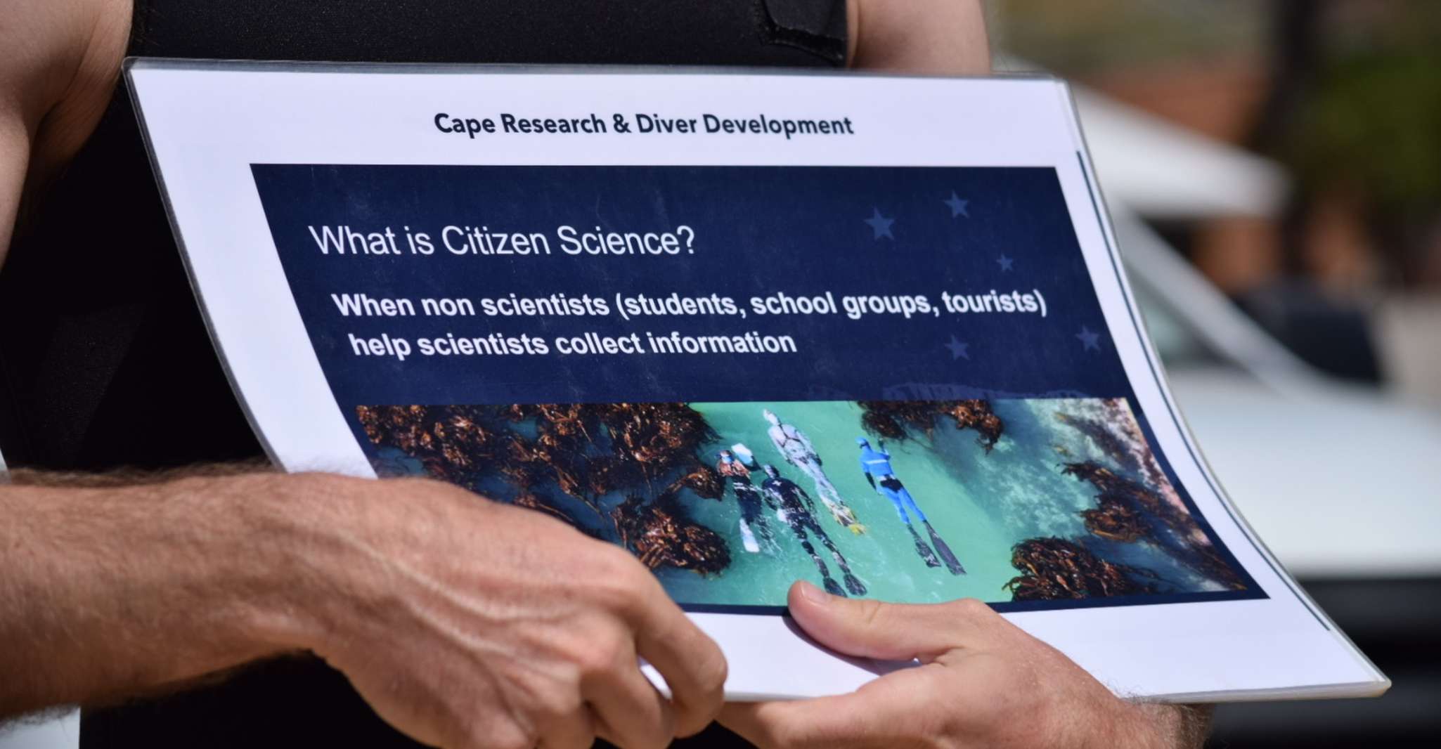 Cape Town, Great African Sea Forest Guided Snorkel SuiteTrails