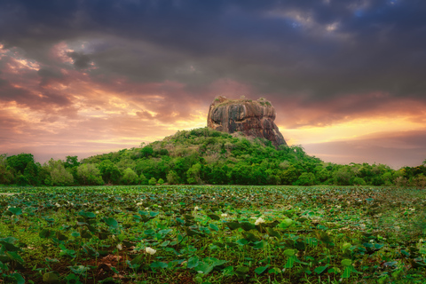 Colombo: Polonnaruwa & Sigiriya Guided Day Tour with Lunch