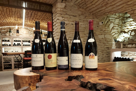 Vosne-Romanée: Private Vineyards Walking Tour with Tasting