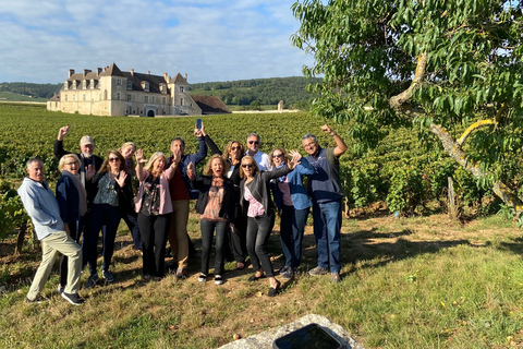 Vosne-Romanée: Private Vineyards Walking Tour with Tasting