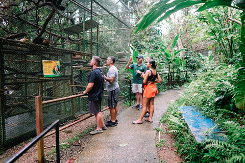 Manuel Antonio: Volunteer for a Day at a Wildlife Sanctuary Manuel Antonio: KSTR Wildlife Sanctuary Volunteering Day