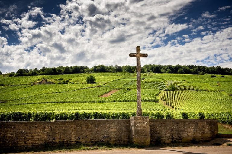 Vosne-Romanée: Private Vineyards Walking Tour with Tasting