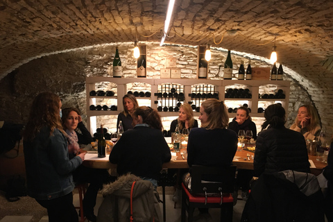 Vosne-Romanée: Private Vineyards Walking Tour with Tasting