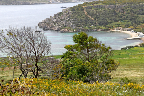 Mistradalen och Selmun Privat naturtur med transportUtan medhavd lunch