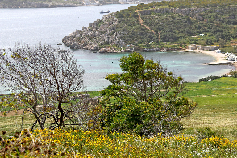 Malta: prywatna wycieczka piesza po dolinie Mistra i pałacu SelmunMalta lub Gozo: Prywatna wycieczka do doliny Mistra i pałacu Selmun