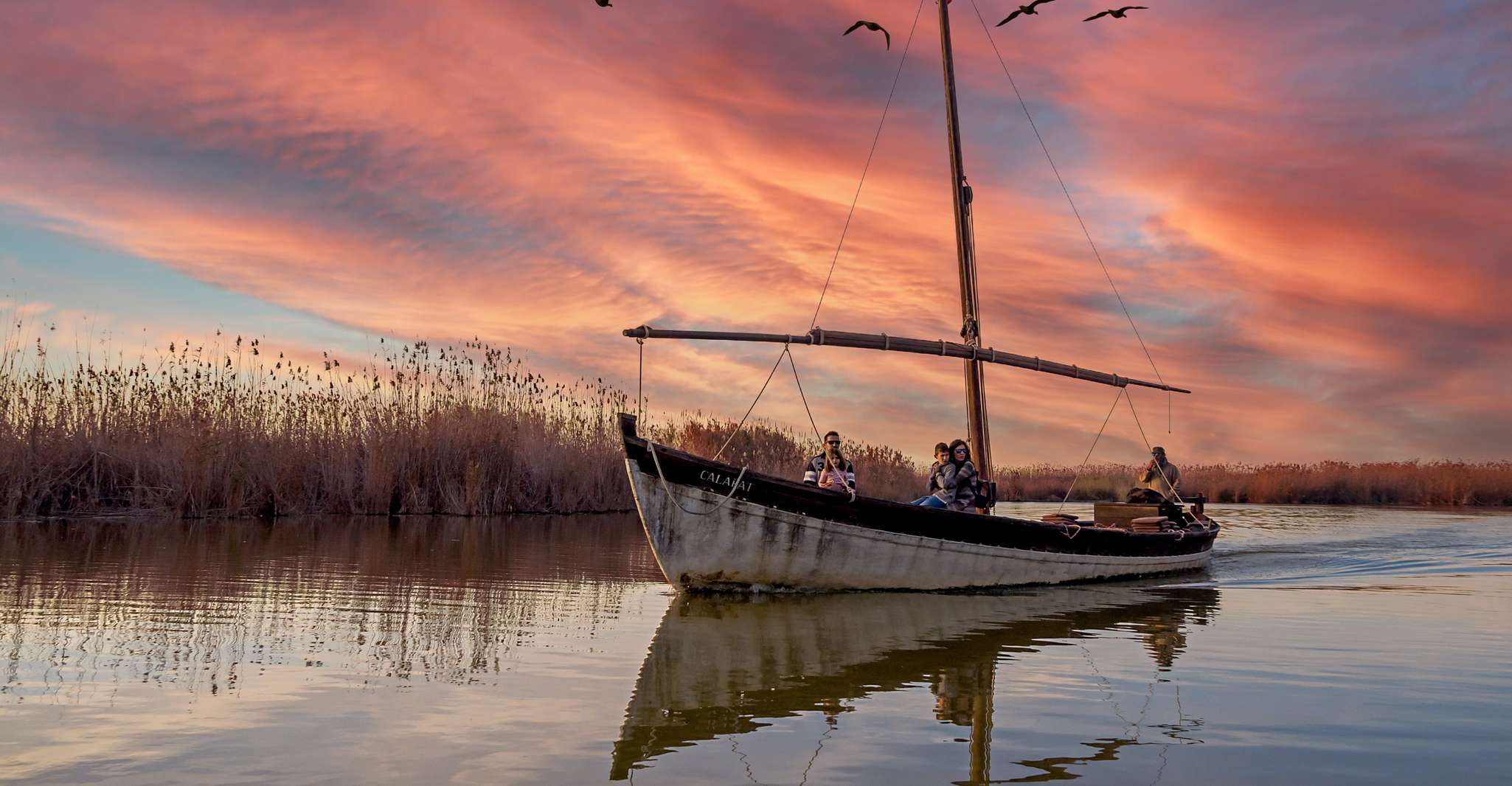 From Valencia, Albufera Day Trip with Boat Tour and Transfer - Housity