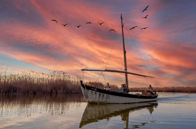 From Valencia: Albufera Day Trip with Boat Tour and Transfer