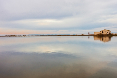 From Valencia: Albufera Day Trip with Boat Tour and Transfer