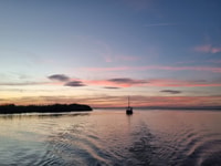 De Valence, voyage d'une journée d'Albufera avec visite en bateau et transfert - Housity