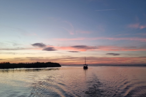 Desde Valencia: Excursión de un día a la Albufera con paseo en barco y traslado