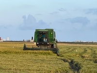 De Valence, voyage d'une journée d'Albufera avec visite en bateau et transfert - Housity