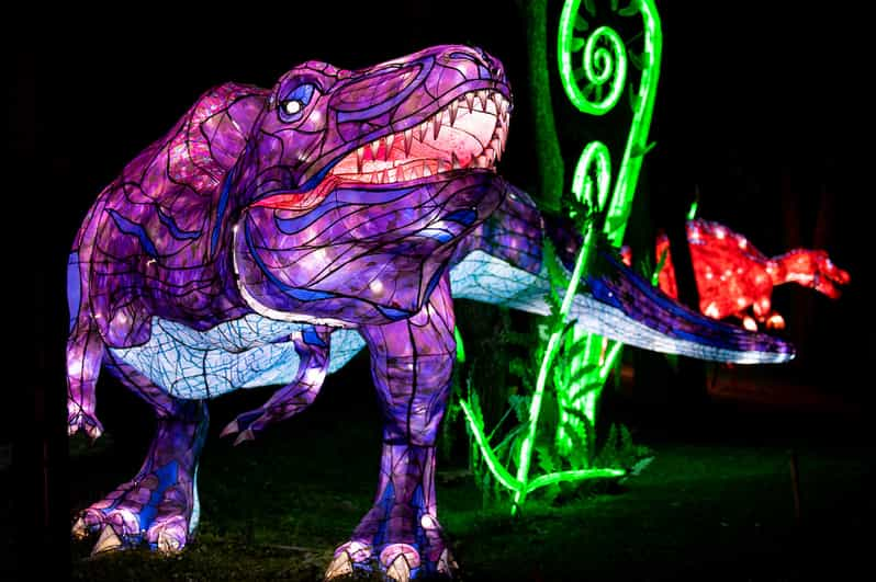 Phoenix Phoenix ZooLights Entry Ticket GetYourGuide