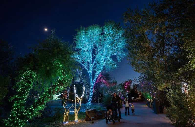 Phoenix Phoenix ZooLights Entry Ticket GetYourGuide