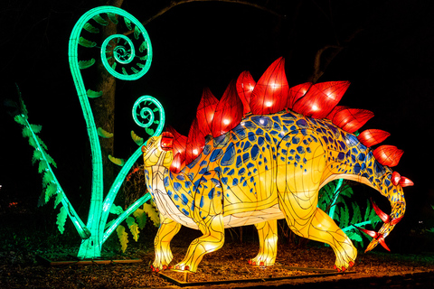 Phoenix: Phoenix ZooLights Entry Ticket