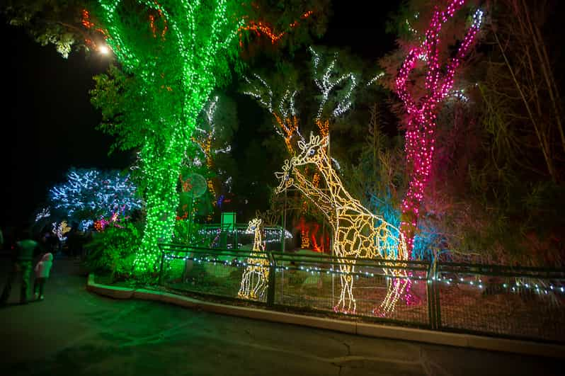 Phoenix Phoenix ZooLights Entry Ticket GetYourGuide