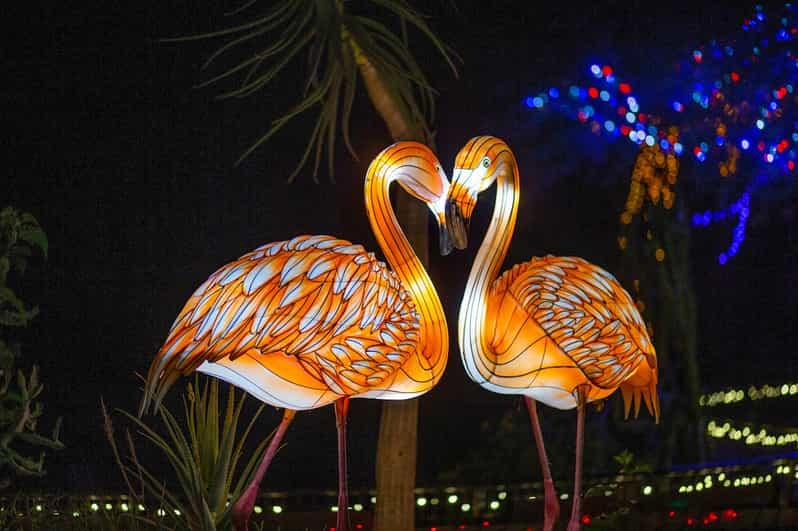 Phoenix Phoenix ZooLights Entry Ticket GetYourGuide