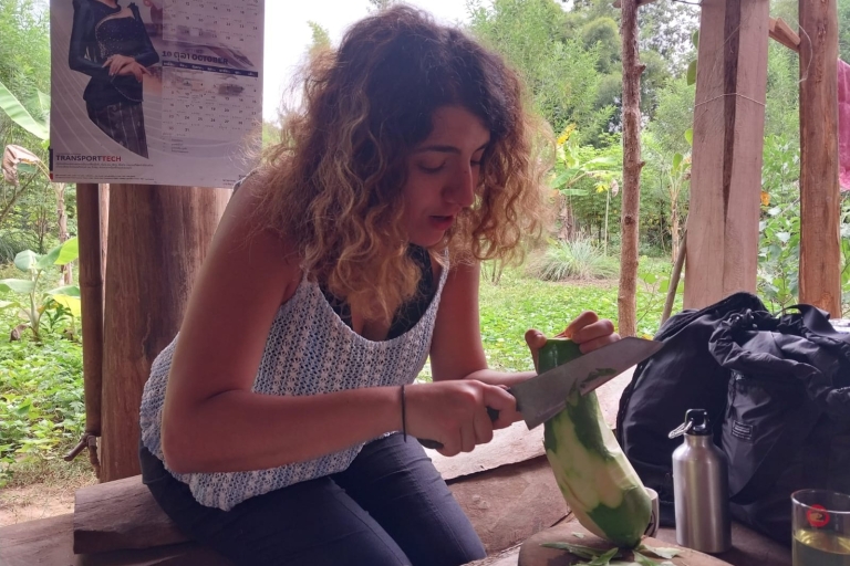 Luang Prabang: Doświadczenie w gospodarstwie ekologicznym i wycieczka do Kuang siPoranny targ, wegańskie jedzenie na farmie i wycieczka do Kuang Si