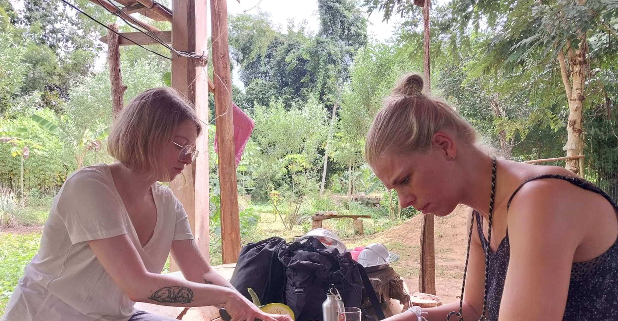 Luang Prabang, 有机农场经验与Hike to Kuang si - Hizvo