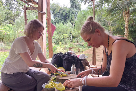 Luang Prabang : Expérience de la ferme biologique et randonnée à Kuang siMarché du matin, nourriture végétalienne à la ferme et randonnée à Kuang Si