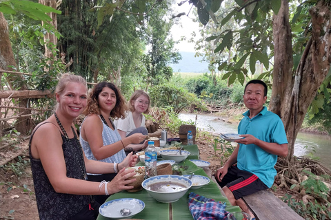 Luang Prabang : Expérience de la ferme biologique et randonnée à Kuang siMarché du matin, nourriture végétalienne à la ferme et randonnée à Kuang Si